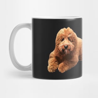 Cockapoo Cavapoo Doodle Cavoodle Goldendoodle Labradoodle Puppy Dog Mug